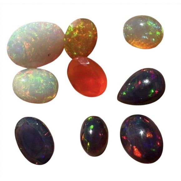 11 carats of Opals in Display Case - Picture 3 of 7